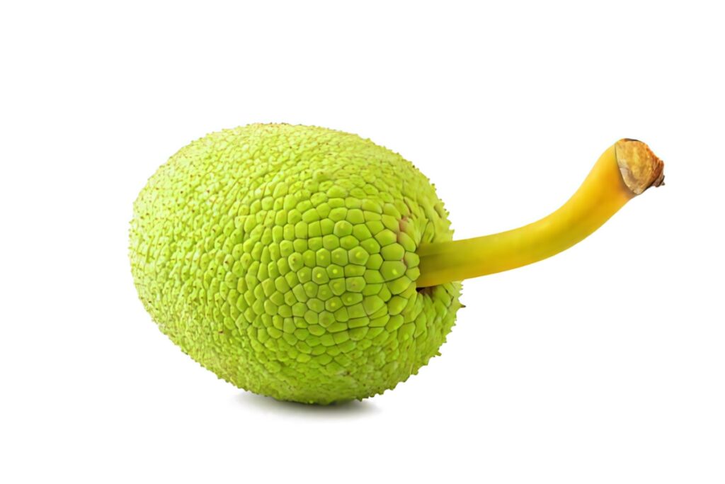 Close-up of small green breadfruit with textured surface and yellow stem on white background Wallpaper
