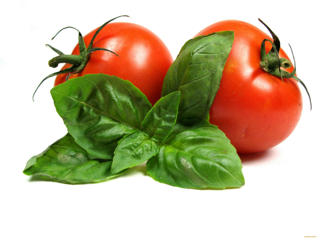 Fresh Red Tomatoes & Green Basil Wallpaper: Minimalistic Aesthetic