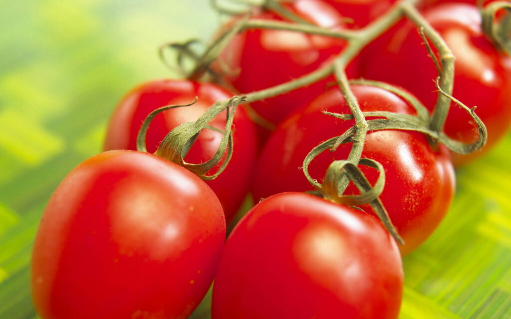 Vibrant Tomato Wallpaper: Shiny Red Tomatoes on Green Background