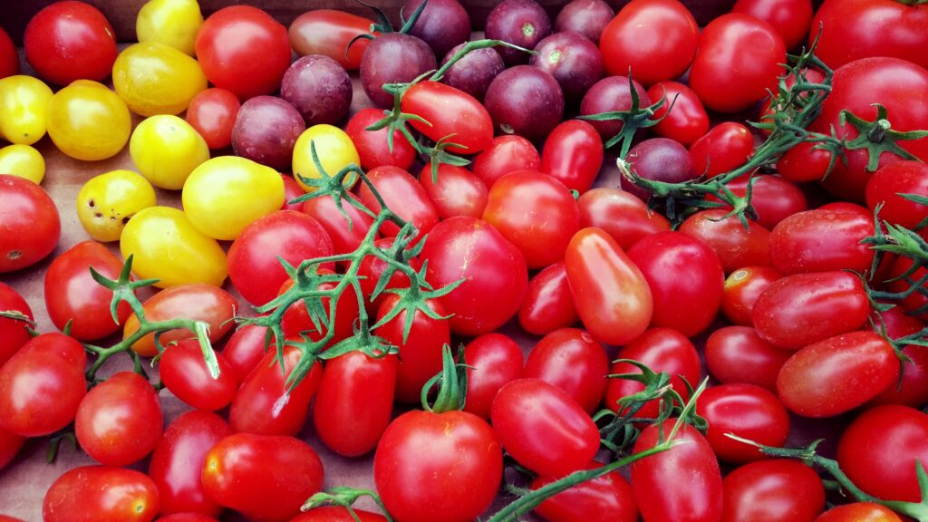 Vibrant Tomato Wallpaper: Fresh Red, Yellow & Purple Cherry Variety