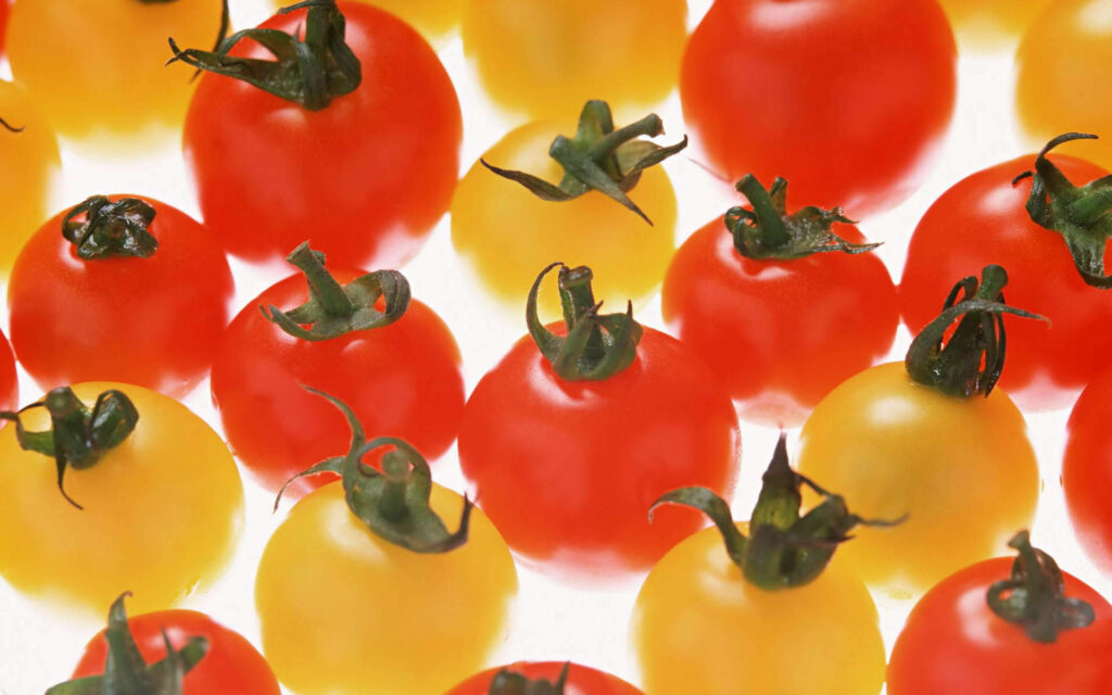 Vibrant Tomato Wallpaper: Fresh Red & Yellow Fruits on White Background