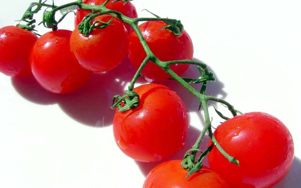 Vibrant Tomato Wallpaper: Fresh Red Tomatoes on Green Branch