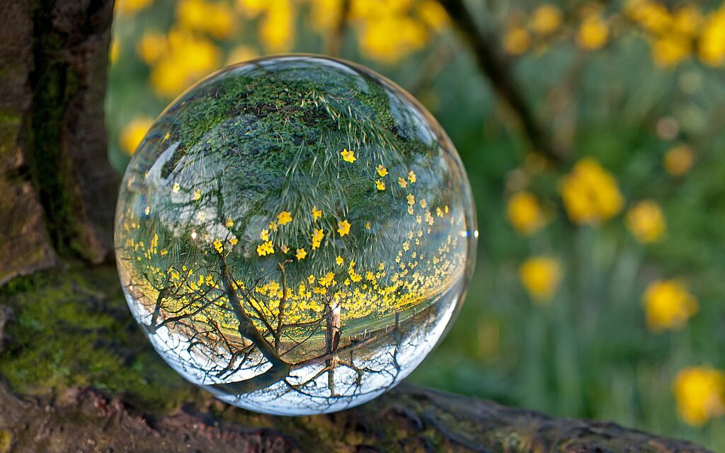 Vibrant Glass Ball Wallpaper: Reflecting Nature's Beauty