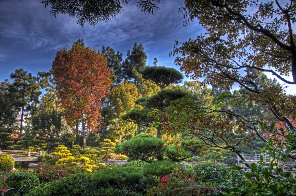 Vibrant tree nursery with diverse shapes colors lush foliage and autumn hues in traditional style Wallpaper