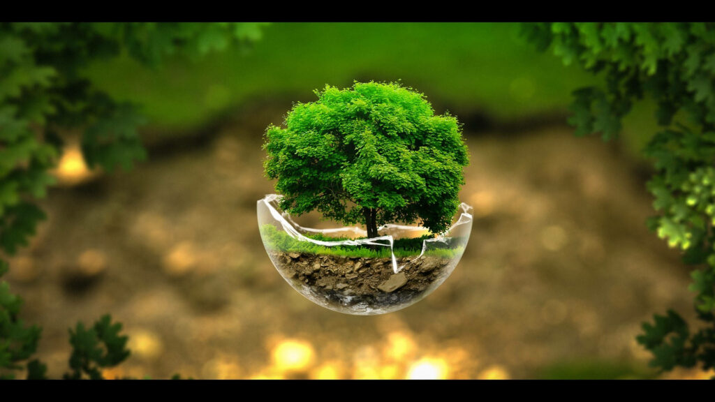 Serene Green Tree in Glass Bowl – Captivating Nature Wallpaper