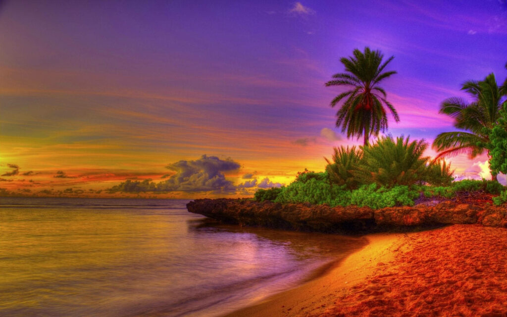 Vibrant Tropical Beach Sunset Wallpaper with Lush Palm Trees