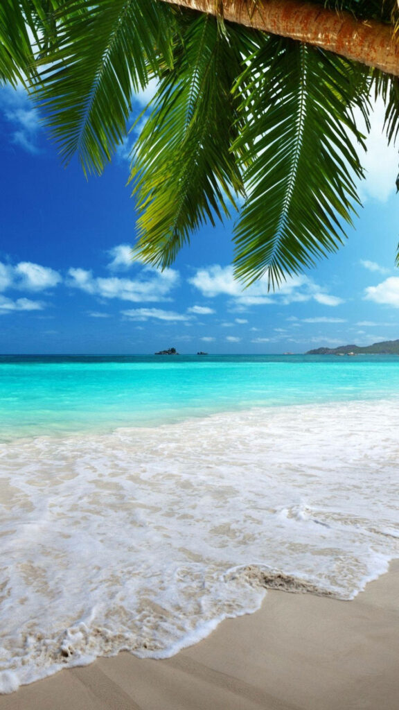 Vibrant Tropical Beach iPhone Wallpaper with Turquoise Waters
