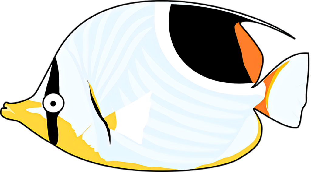 Vibrant Tropical Fish Wallpaper: Black, White & Orange Design