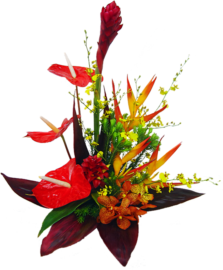 Vibrant Tropical Flower Wallpaper - Exotic Red, Yellow, and Orange Display