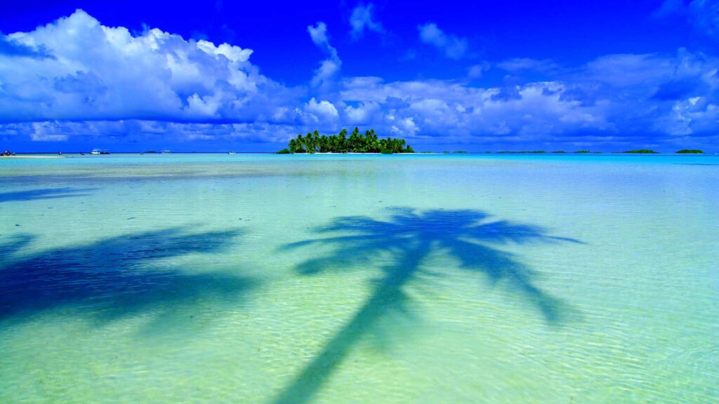 Tropical Island Wallpaper: Panoramic View with Palm Tree & Blue Waters