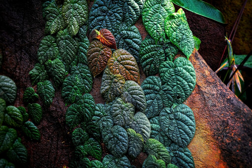 Vibrant tropical leaves wallpaper in green blue and orange with textured earthy background pattern