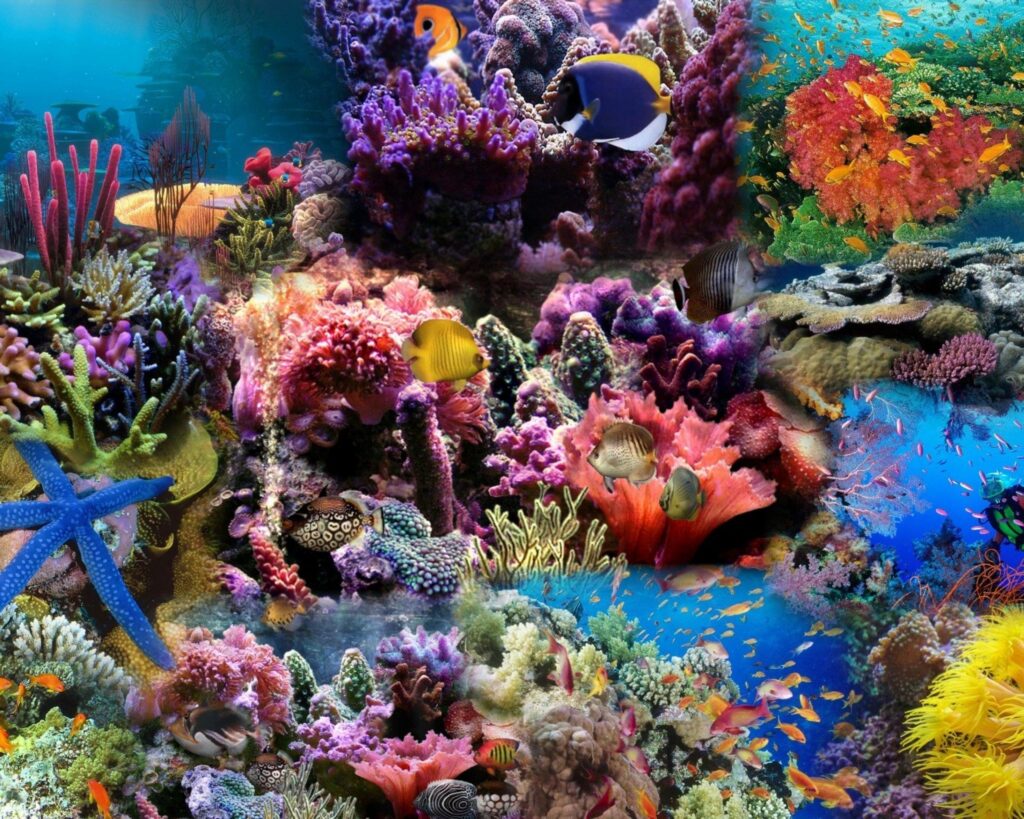 Vibrant reef wallpaper with colorful corals tropical fish blue and orange hues underwater scene