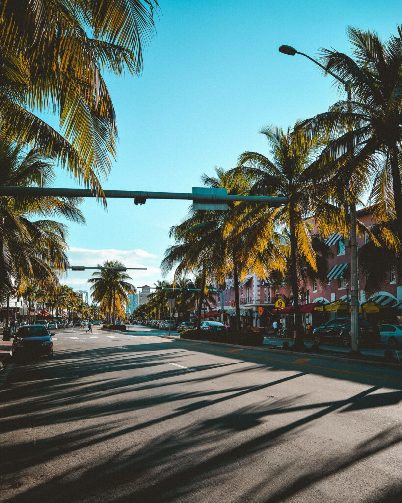 Sunny Tropical Street Wallpaper: Palm Trees & Colorful Getaway Background