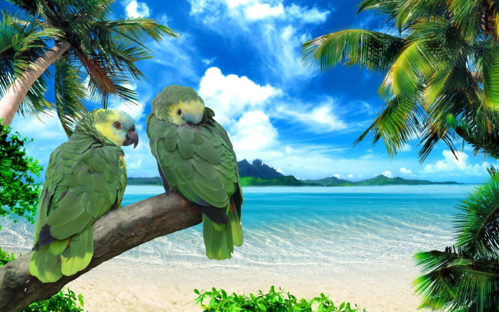 Vibrant Tropical Wallpaper: Green Parrots by the Beach & Ocean