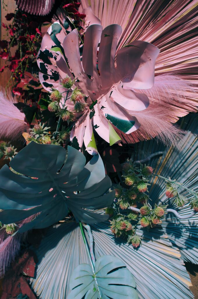 Vibrant Tropical Wallpaper: Intricate Large Leaves & Macro Details