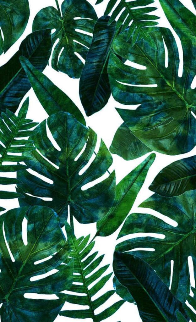 Tropical Wallpaper: Lush Philodendrons & Vibrant Green Foliage