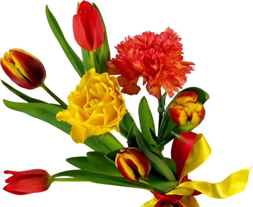 Vibrant 2000x1640 Tulips & Carnations Wallpaper with Colorful Ribbon