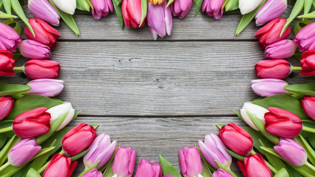 Charming Heart-Shaped Tulips Wallpaper on Rustic Wood Background