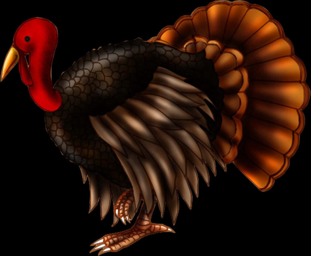Vibrant Illustrated Turkey Wallpaper for Nature-Inspired Decor