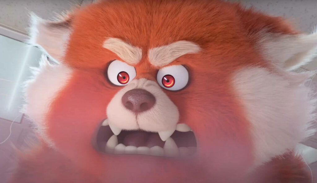 Vibrant Turning Red Panda Wallpaper: Intense Fury & Fiery Fur