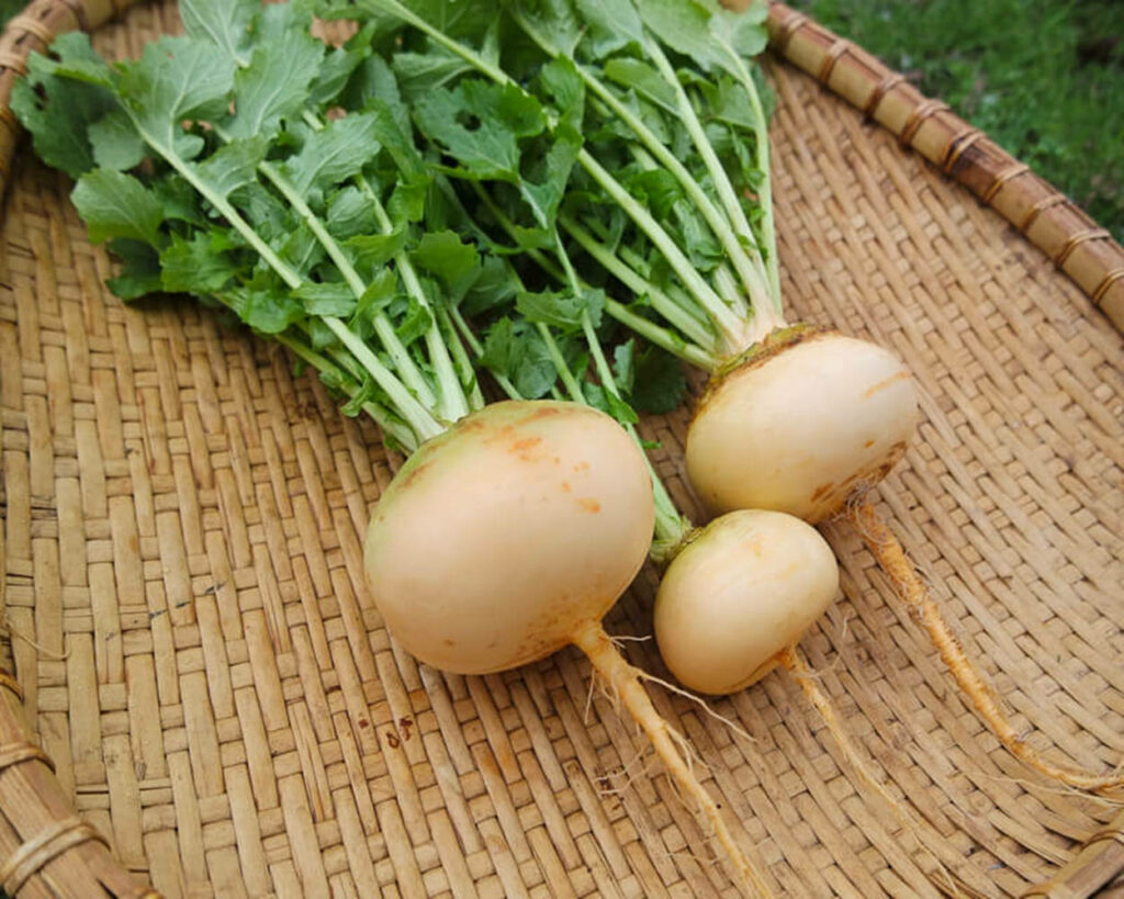 Natural Turnip Wallpaper: Vibrant Fresh Greens in Bamboo Tray