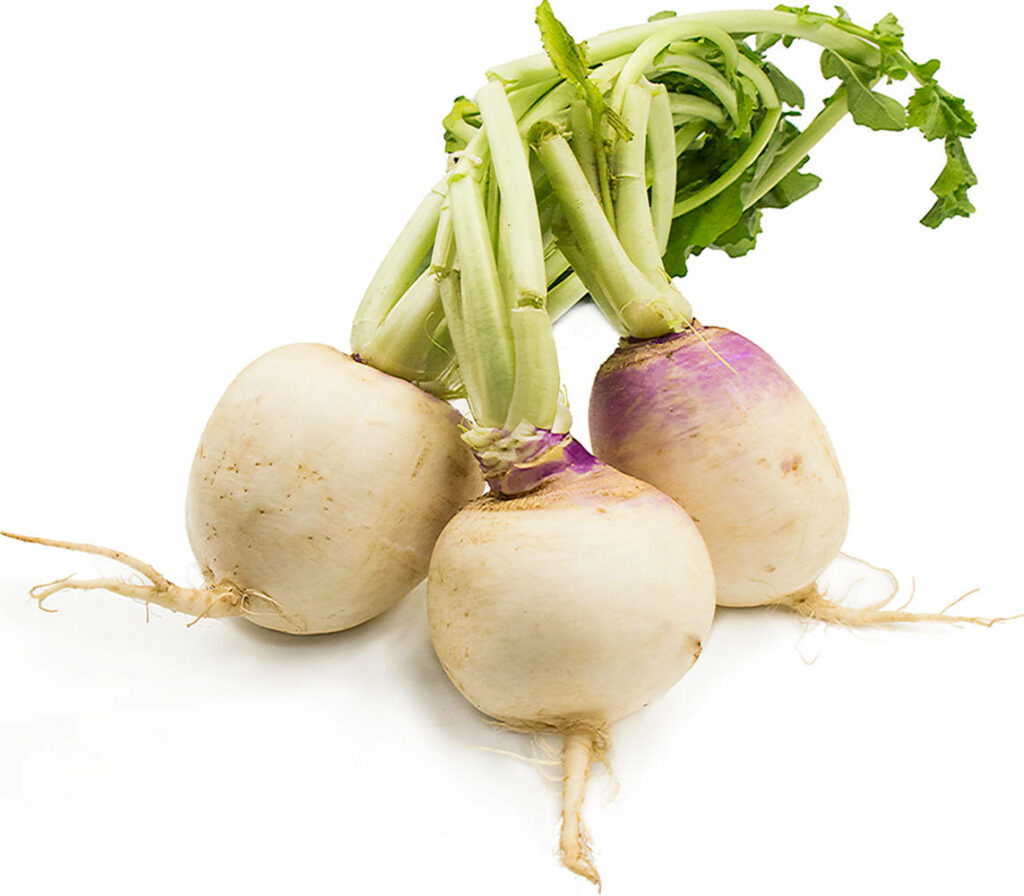 Fresh Turnip Wallpaper: Vibrant Root Vegetables on White Background