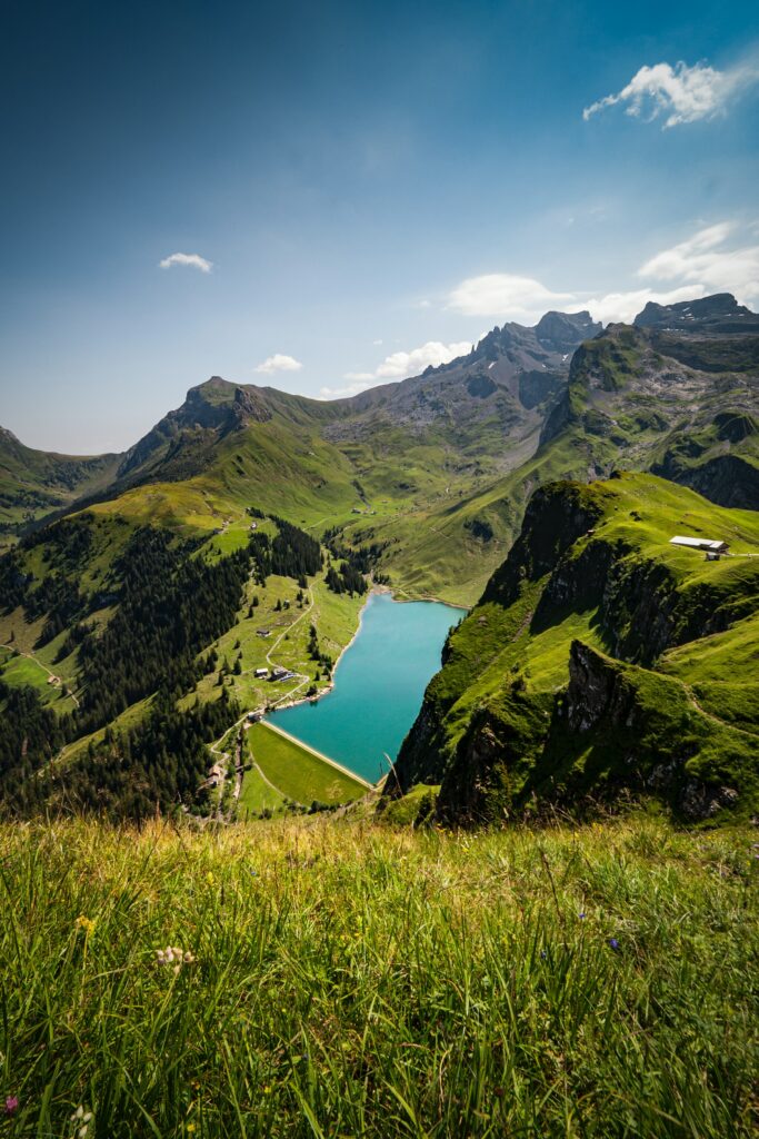 Vibrant turquoise mountain lake with lush green grass jagged peaks clear blue sky wallpaper