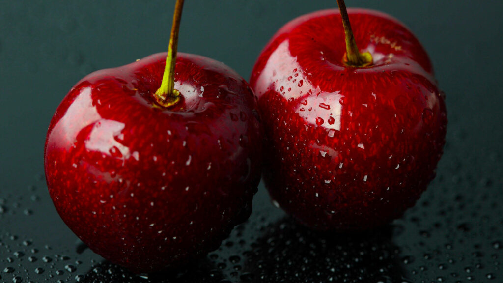 Two vibrant Twin Benton cherries with water droplets on rich red skins against dark background Wallpaper