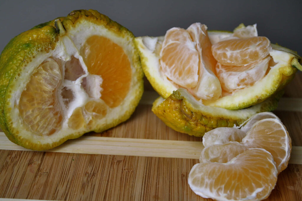 Vibrant Ugli Citrus Wallpaper: Juicy Segments & Textured Rind