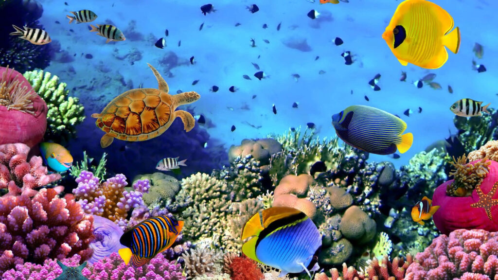 Vibrant Underwater Wallpaper: Coral Reef & Tropical Fish Background