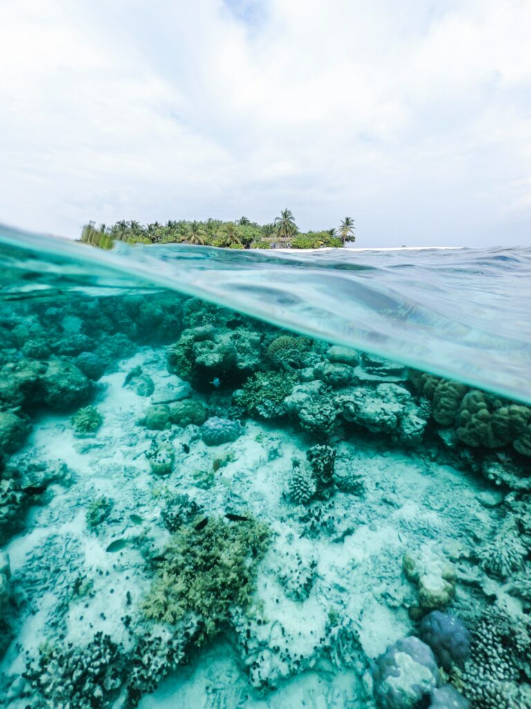 Split-view tropical island with turquoise water coral reefs and bright sky wallpaper background