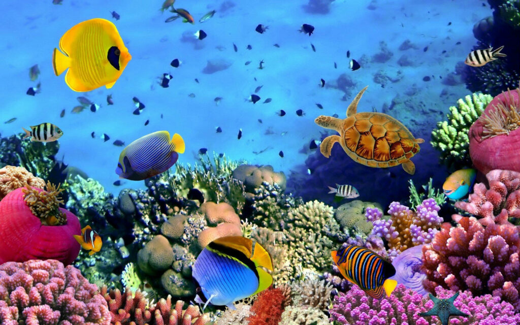 Vibrant Underwater Scene with Colorful Fish & Coral Reef Wallpaper