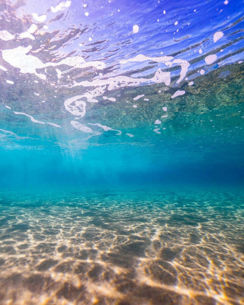 Vibrant Underwater Seascape Wallpaper with Sunlit Ocean Floor