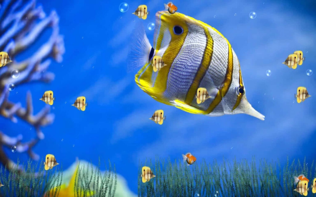 Vibrant Underwater Scene: 3D Fish & Colorful Coral Wallpaper