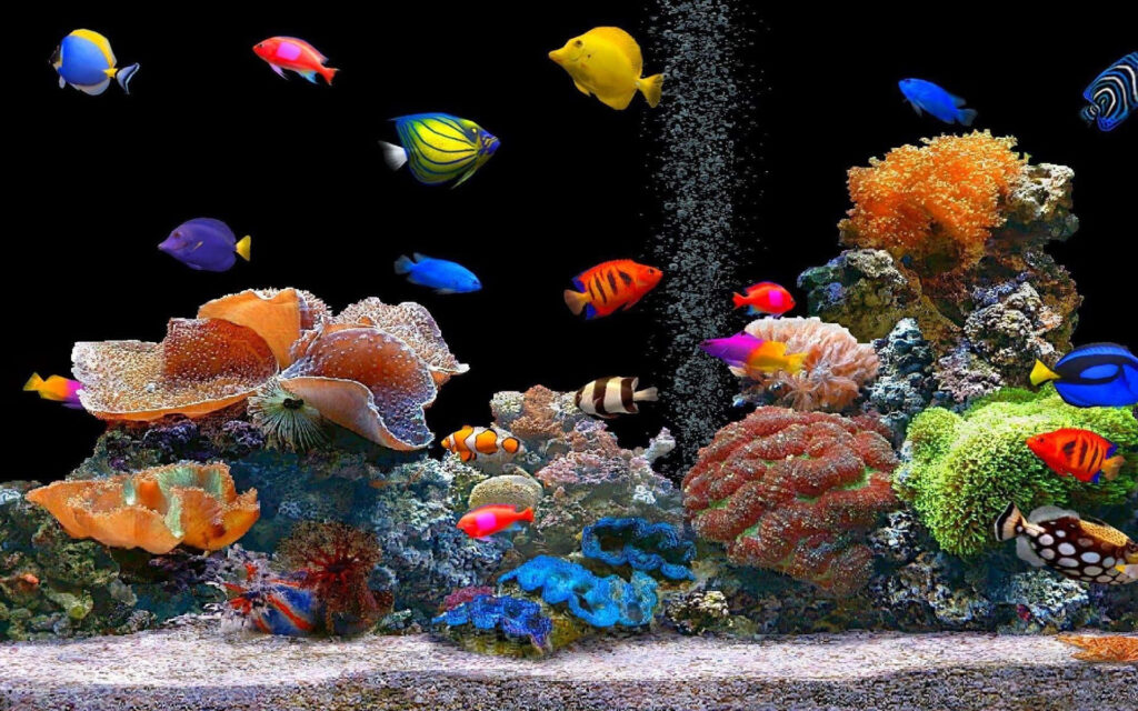 Stunning Underwater Scene Wallpaper with Colorful Fish & Corals