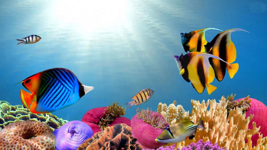 Vibrant Underwater Wallpaper: Colorful Fish & Coral Scene Background