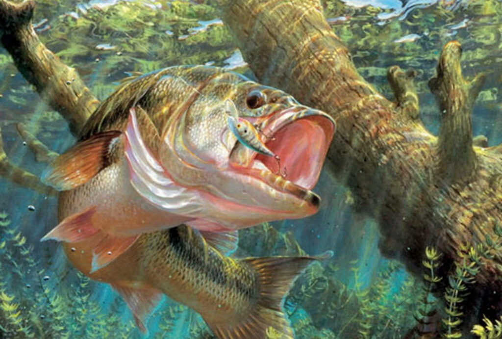 Vibrant Underwater Wallpaper: Predatory Fish Scene in Aquatic Setting