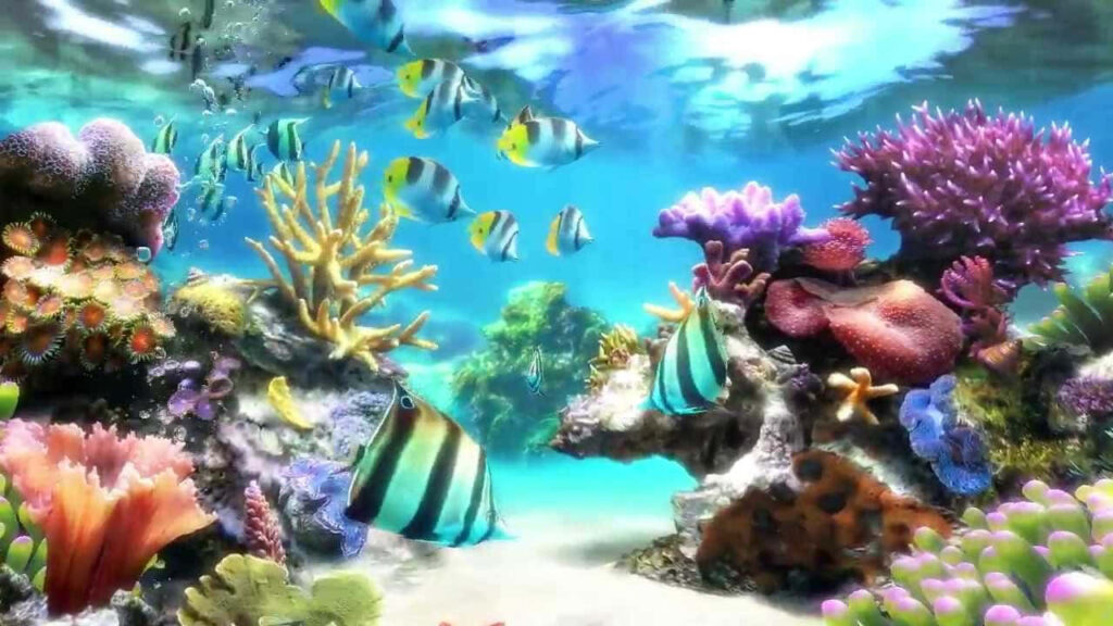 Vibrant Underwater Wallpaper: Lively Fish & Colorful Coral Reefs