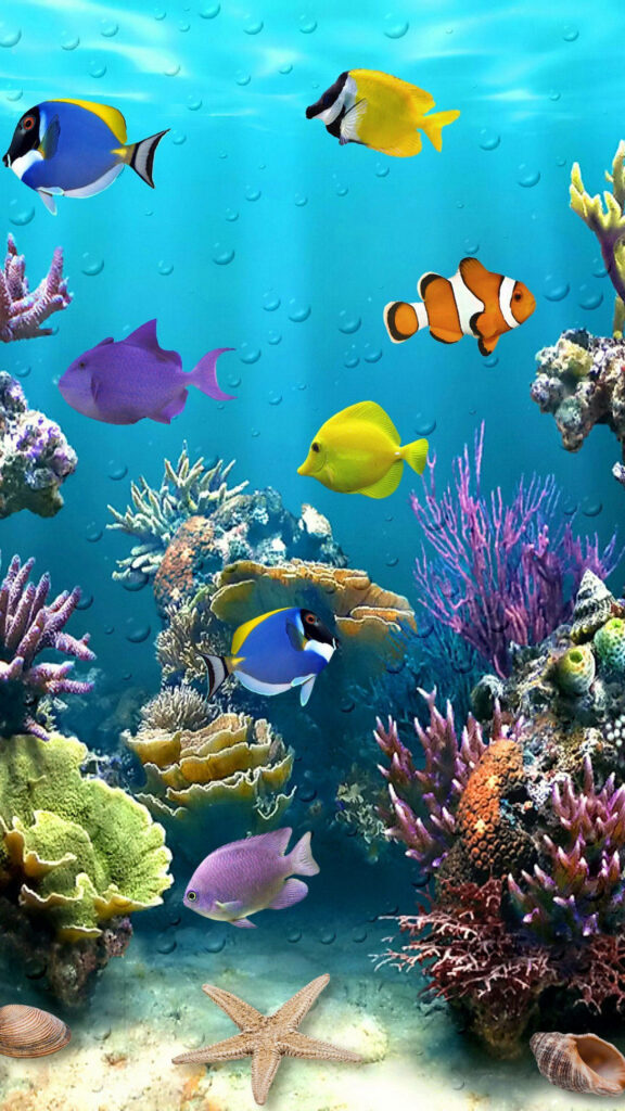 Vibrant Underwater Wallpaper: Colorful Fish & Lush Coral Reefs