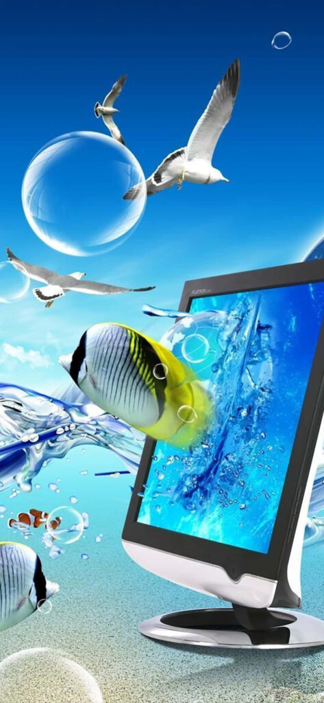Vibrant Underwater Wallpaper with Fish & Seagulls for Desktop