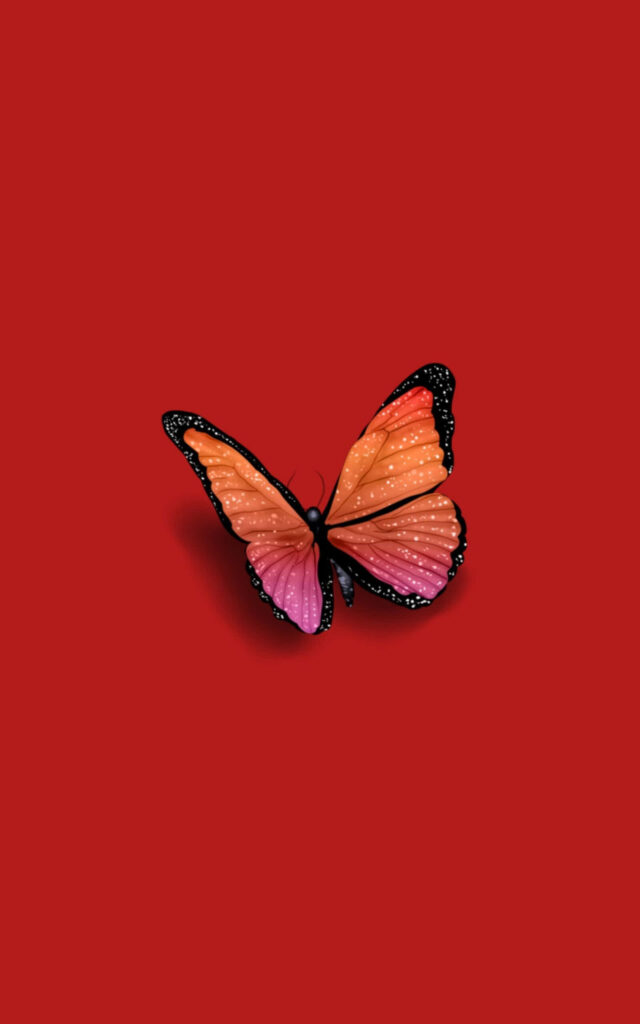 Vibrant Orange & Pink VSCO Butterfly - Minimalist Wallpaper Design