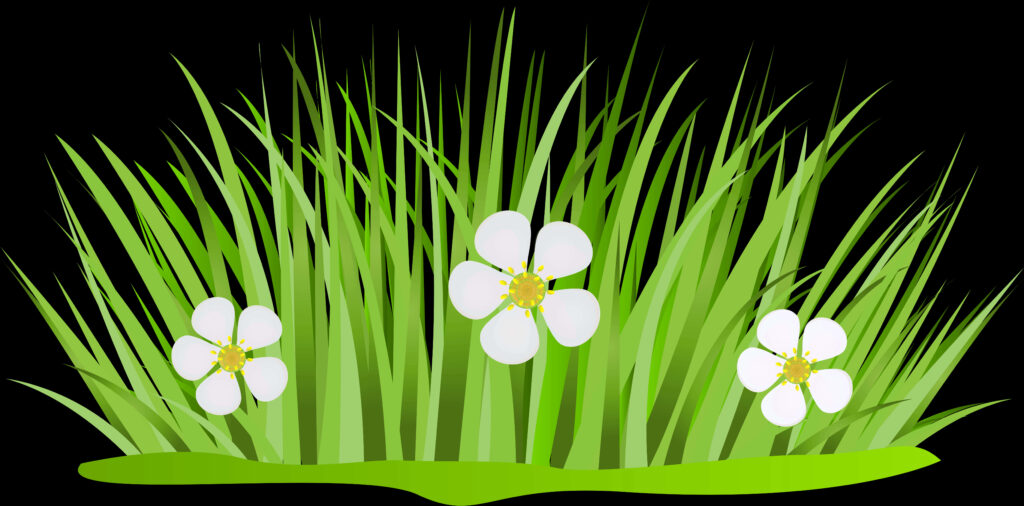Vibrant Green Grass & White Flowers Vector Wallpaper on Transparent Background