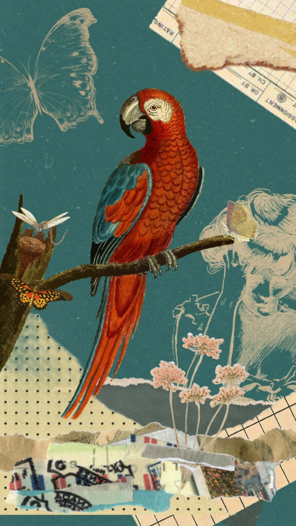Vibrant Vintage Parrot Collage Wallpaper with Eclectic Background