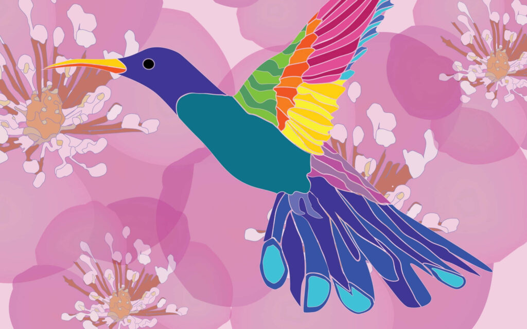 Colorful Hummingbird Wallpaper: Nature's Elegance in Pink