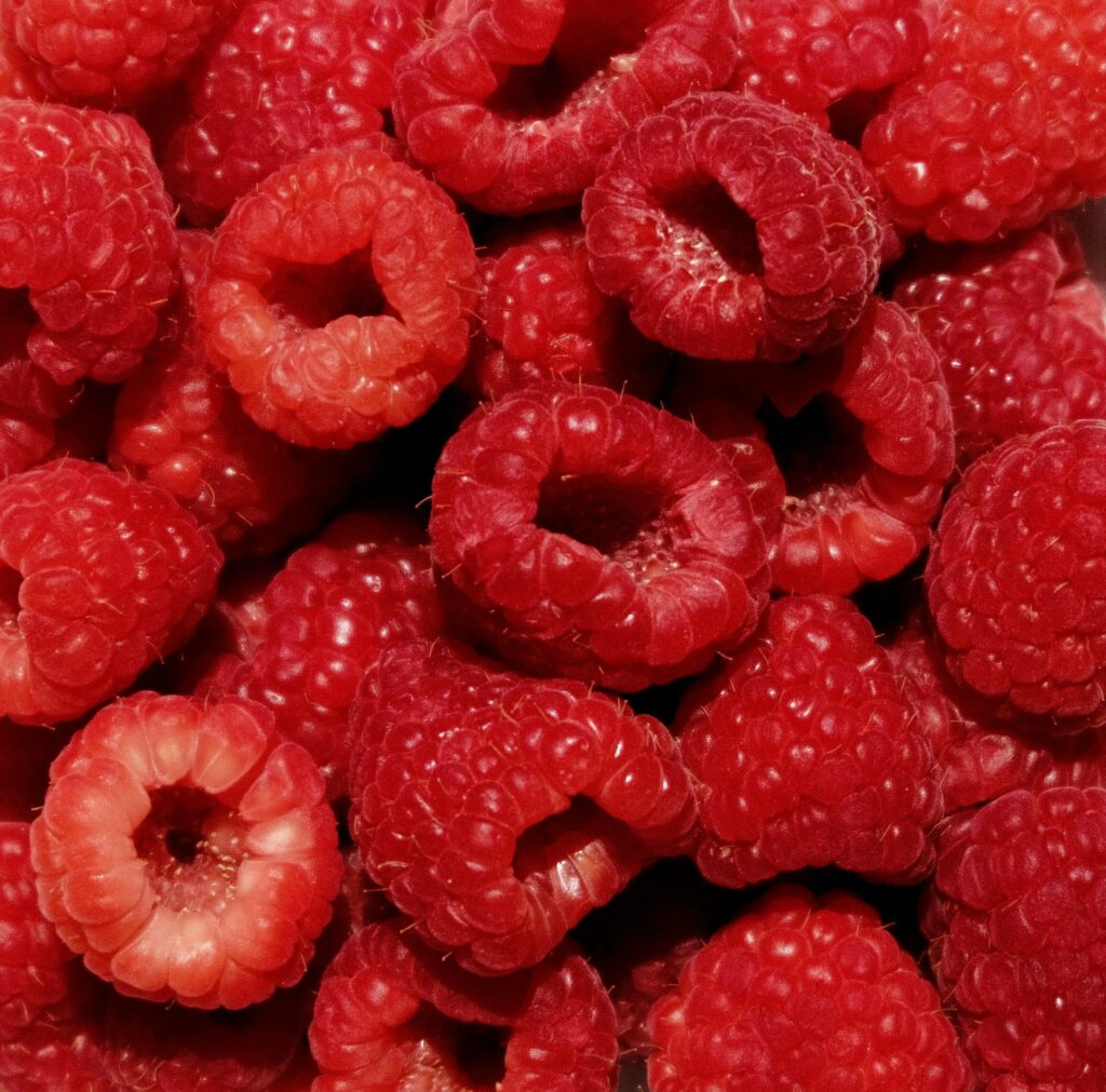 Fresh Red Raspberries Wallpaper: Juicy Close-Up Background