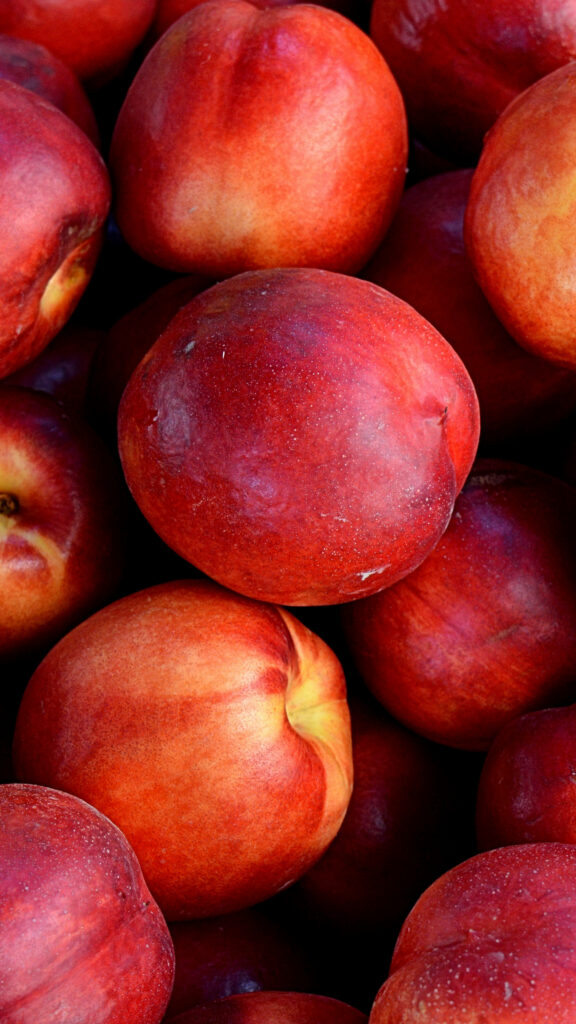 Vibrant Nectarine Wallpaper: Close-Up of Ripe, Colorful Fruit