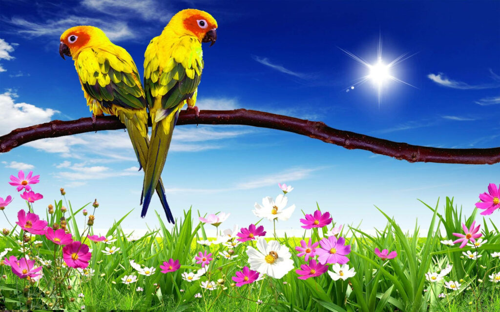Vibrant Conure Parrots in Colorful Floral Garden Against Blue Sky Wallpaper