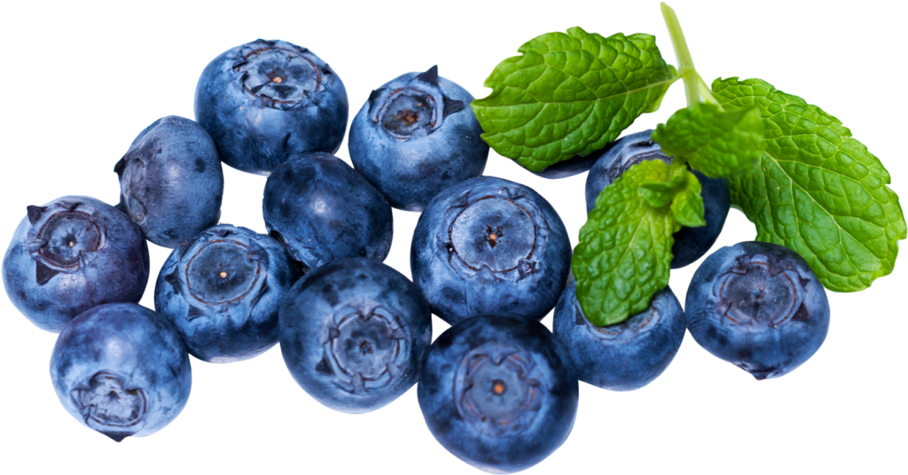Fresh Blueberries & Mint Leaves Wallpaper for a Vibrant Background