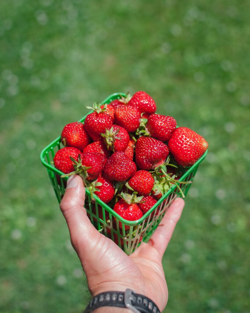 Fresh Strawberries in Green Basket - Vibrant Wallpaper Background