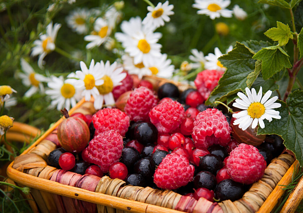 Vibrant Fruit Wallpaper: Raspberries, Gooseberries & Chamomile Blooms